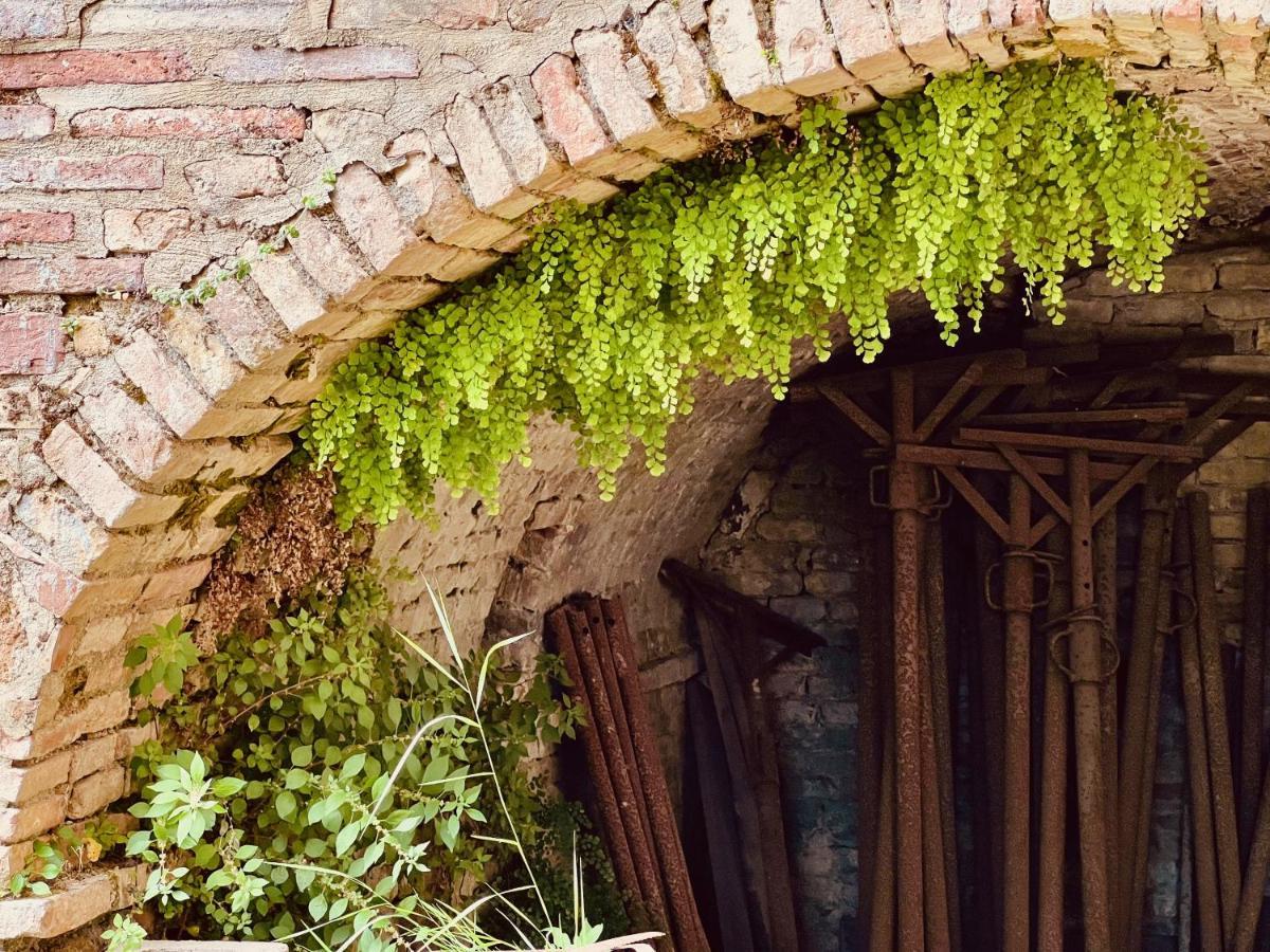 Apartamento Le Fonti Di San Gimignano Exterior foto